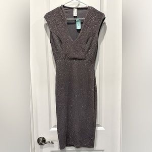 Glitter Silver Dress